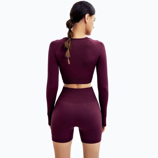 Two Piece Suit Women Seamless Yoga Set Gym Clothing Workout Sportswear High Waist Leggings Fitness Sport Crop Top(D,L)