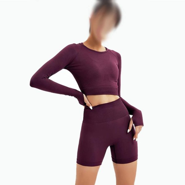 Two Piece Suit Women Seamless Yoga Set Gym Clothing Workout Sportswear High Waist Leggings Fitness Sport Crop Top(D,L)