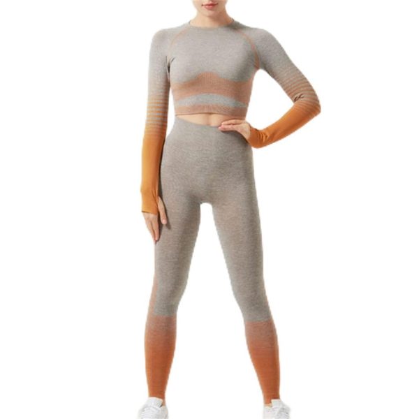 41o7k2FERcL.jpg Female Fitness Yoga Wear Set Quick Dry Two-Piece Gradient Running Sports Suit Large Size(Medium)